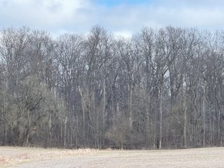 Property photo 13 - 190+/- Acres Offered in 8 Tracts in Wayne County Indiana