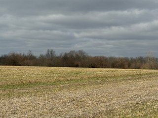 Property photo 14 - 190+/- Acres Offered in 8 Tracts in Wayne County Indiana
