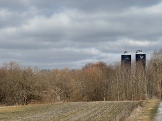 Property photo 16 - 190+/- Acres Offered in 8 Tracts in Wayne County Indiana