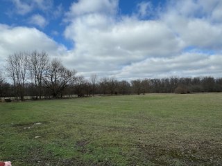 Property photo 35 - 190+/- Acres Offered in 8 Tracts in Wayne County Indiana