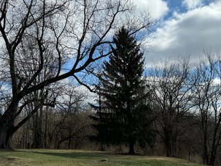 Property photo 48 - 190+/- Acres Offered in 8 Tracts in Wayne County Indiana