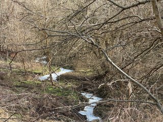Property photo 52 - 190+/- Acres Offered in 8 Tracts in Wayne County Indiana
