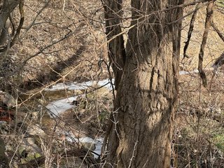 Property photo 53 - 190+/- Acres Offered in 8 Tracts in Wayne County Indiana