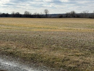 Property photo 58 - 190+/- Acres Offered in 8 Tracts in Wayne County Indiana