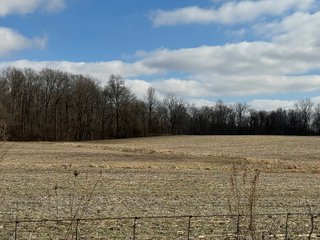 Property photo 61 - 190+/- Acres Offered in 8 Tracts in Wayne County Indiana