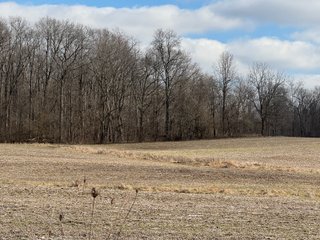 Property photo 62 - 190+/- Acres Offered in 8 Tracts in Wayne County Indiana