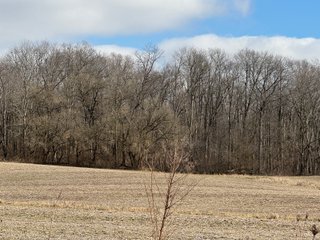 Property photo 63 - 190+/- Acres Offered in 8 Tracts in Wayne County Indiana