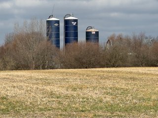 Property photo 65 - 190+/- Acres Offered in 8 Tracts in Wayne County Indiana