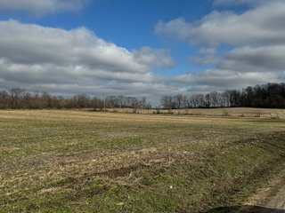 Property photo 71 - 190+/- Acres Offered in 8 Tracts in Wayne County Indiana