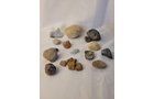 Property photo 161 - PERSONAL PROPERTY AUCTION IN ALLEN COUNTY INDIANA