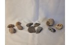 Property photo 164 - PERSONAL PROPERTY AUCTION IN ALLEN COUNTY INDIANA