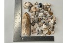 Property photo 32 - TIMED ONLINE ONLY NATIVE AMERICAN ARTIFACTS AND COLLECTIBLES AUCTION IN ALLEN COUNTY INDIANA