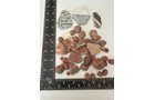 Property photo 13 - TIMED ONLINE ONLY NATIVE AMERICAN ARTIFACTS AND COLLECTIBLES AUCTION IN ALLEN COUNTY INDIANA