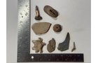 Property photo 14 - TIMED ONLINE ONLY NATIVE AMERICAN ARTIFACTS AND COLLECTIBLES AUCTION IN ALLEN COUNTY INDIANA