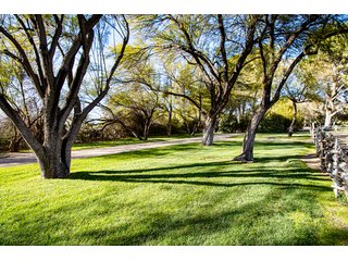 Property photo 37 - The Gardens on Fort Lowell Auction - 16+/- Acre Oasis Under the
Catalina Mountains in Tucson, AZ