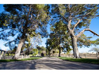 Property photo 39 - The Gardens on Fort Lowell Auction - 16+/- Acre Oasis Under the
Catalina Mountains in Tucson, AZ