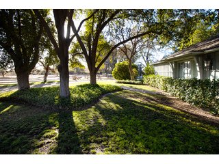 Property photo 44 - The Gardens on Fort Lowell Auction - 16+/- Acre Oasis Under the
Catalina Mountains in Tucson, AZ
