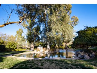 Property photo 55 - The Gardens on Fort Lowell Auction - 16+/- Acre Oasis Under the
Catalina Mountains in Tucson, AZ