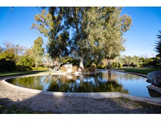 Property photo 56 - The Gardens on Fort Lowell Auction - 16+/- Acre Oasis Under the
Catalina Mountains in Tucson, AZ