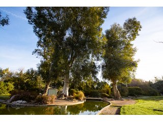 Property photo 62 - The Gardens on Fort Lowell Auction - 16+/- Acre Oasis Under the
Catalina Mountains in Tucson, AZ