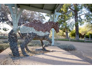 Property photo 69 - The Gardens on Fort Lowell Auction - 16+/- Acre Oasis Under the
Catalina Mountains in Tucson, AZ