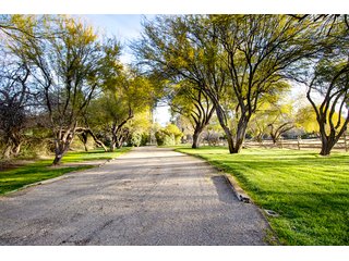 Property photo 74 - The Gardens on Fort Lowell Auction - 16+/- Acre Oasis Under the
Catalina Mountains in Tucson, AZ