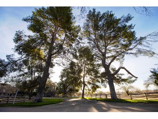 Property photo 77 - The Gardens on Fort Lowell Auction - 16+/- Acre Oasis Under the
Catalina Mountains in Tucson, AZ