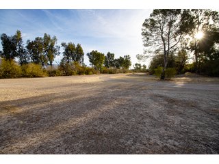 Property photo 79 - The Gardens on Fort Lowell Auction - 16+/- Acre Oasis Under the
Catalina Mountains in Tucson, AZ