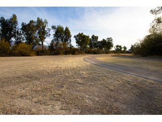 Property photo 80 - The Gardens on Fort Lowell Auction - 16+/- Acre Oasis Under the
Catalina Mountains in Tucson, AZ
