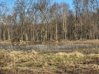 Property photo 6 - LAND AUCTION - 48+/- ACRES OFFERED IN 4 TRACTS IN KOSCIUSKO COUNTY, INDIANA