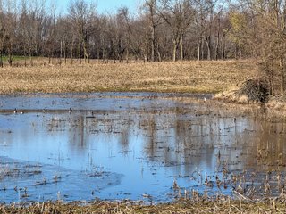 Property photo 5 - LAND AUCTION - 48+/- ACRES OFFERED IN 4 TRACTS IN KOSCIUSKO COUNTY, INDIANA