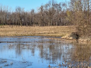 Property photo 4 - LAND AUCTION - 48+/- ACRES OFFERED IN 4 TRACTS IN KOSCIUSKO COUNTY, INDIANA