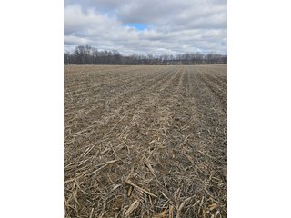 Property photo 26 - LAND AUCTION - 73+/- ACRES OFFERED IN 9 TRACTS OR COMBINATIONS IN DEKALB COUNTY, INDIANA