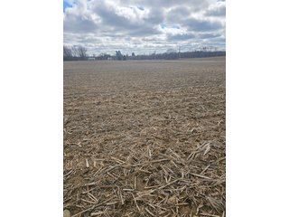 Property photo 28 - LAND AUCTION - 73+/- ACRES OFFERED IN 9 TRACTS OR COMBINATIONS IN DEKALB COUNTY, INDIANA