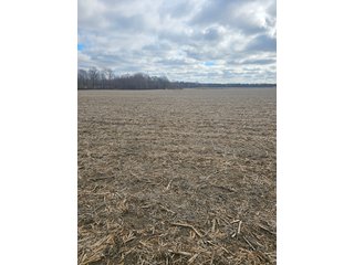 Property photo 45 - LAND AUCTION - 73+/- ACRES OFFERED IN 9 TRACTS OR COMBINATIONS IN DEKALB COUNTY, INDIANA