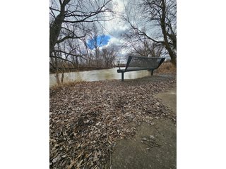 Property photo 54 - LAND AUCTION - 73+/- ACRES OFFERED IN 9 TRACTS OR COMBINATIONS IN DEKALB COUNTY, INDIANA