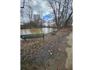 Property photo 56 - LAND AUCTION - 73+/- ACRES OFFERED IN 9 TRACTS OR COMBINATIONS IN DEKALB COUNTY, INDIANA