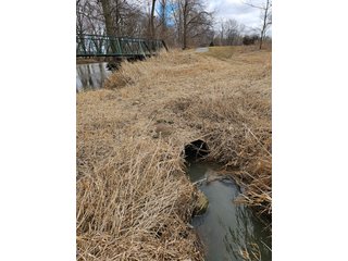 Property photo 65 - LAND AUCTION - 73+/- ACRES OFFERED IN 9 TRACTS OR COMBINATIONS IN DEKALB COUNTY, INDIANA
