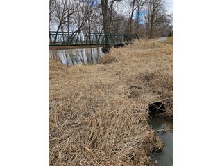 Property photo 66 - LAND AUCTION - 73+/- ACRES OFFERED IN 9 TRACTS OR COMBINATIONS IN DEKALB COUNTY, INDIANA