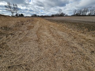 Property photo 68 - LAND AUCTION - 73+/- ACRES OFFERED IN 9 TRACTS OR COMBINATIONS IN DEKALB COUNTY, INDIANA