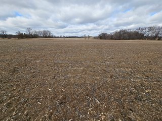 Property photo 70 - LAND AUCTION - 73+/- ACRES OFFERED IN 9 TRACTS OR COMBINATIONS IN DEKALB COUNTY, INDIANA