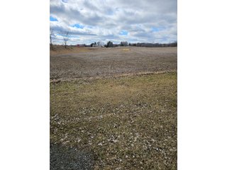 Property photo 73 - LAND AUCTION - 73+/- ACRES OFFERED IN 9 TRACTS OR COMBINATIONS IN DEKALB COUNTY, INDIANA