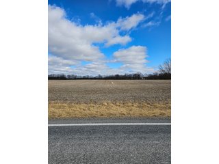 Property photo 79 - LAND AUCTION - 73+/- ACRES OFFERED IN 9 TRACTS OR COMBINATIONS IN DEKALB COUNTY, INDIANA