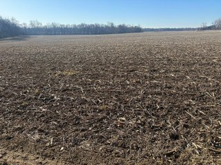 Property photo 90 - LAND AUCTION - 73+/- ACRES OFFERED IN 9 TRACTS OR COMBINATIONS IN DEKALB COUNTY, INDIANA