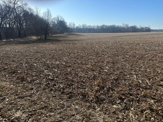 Property photo 92 - LAND AUCTION - 73+/- ACRES OFFERED IN 9 TRACTS OR COMBINATIONS IN DEKALB COUNTY, INDIANA