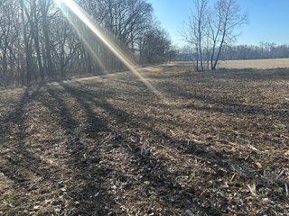 Property photo 93 - LAND AUCTION - 73+/- ACRES OFFERED IN 9 TRACTS OR COMBINATIONS IN DEKALB COUNTY, INDIANA