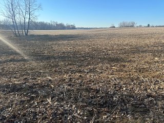 Property photo 95 - LAND AUCTION - 73+/- ACRES OFFERED IN 9 TRACTS OR COMBINATIONS IN DEKALB COUNTY, INDIANA