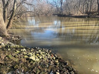 Property photo 97 - LAND AUCTION - 73+/- ACRES OFFERED IN 9 TRACTS OR COMBINATIONS IN DEKALB COUNTY, INDIANA
