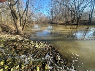 Property photo 98 - LAND AUCTION - 73+/- ACRES OFFERED IN 9 TRACTS OR COMBINATIONS IN DEKALB COUNTY, INDIANA