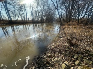 Property photo 99 - LAND AUCTION - 73+/- ACRES OFFERED IN 9 TRACTS OR COMBINATIONS IN DEKALB COUNTY, INDIANA